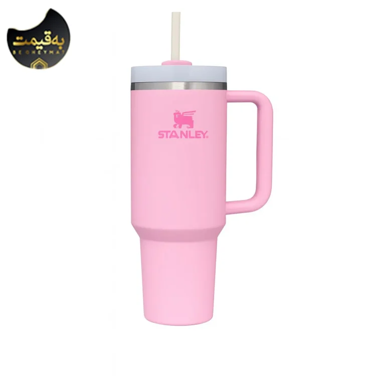 ماگ دسته دار استنلی تامبلر مدل QUENCHER H2O TUMBLER
